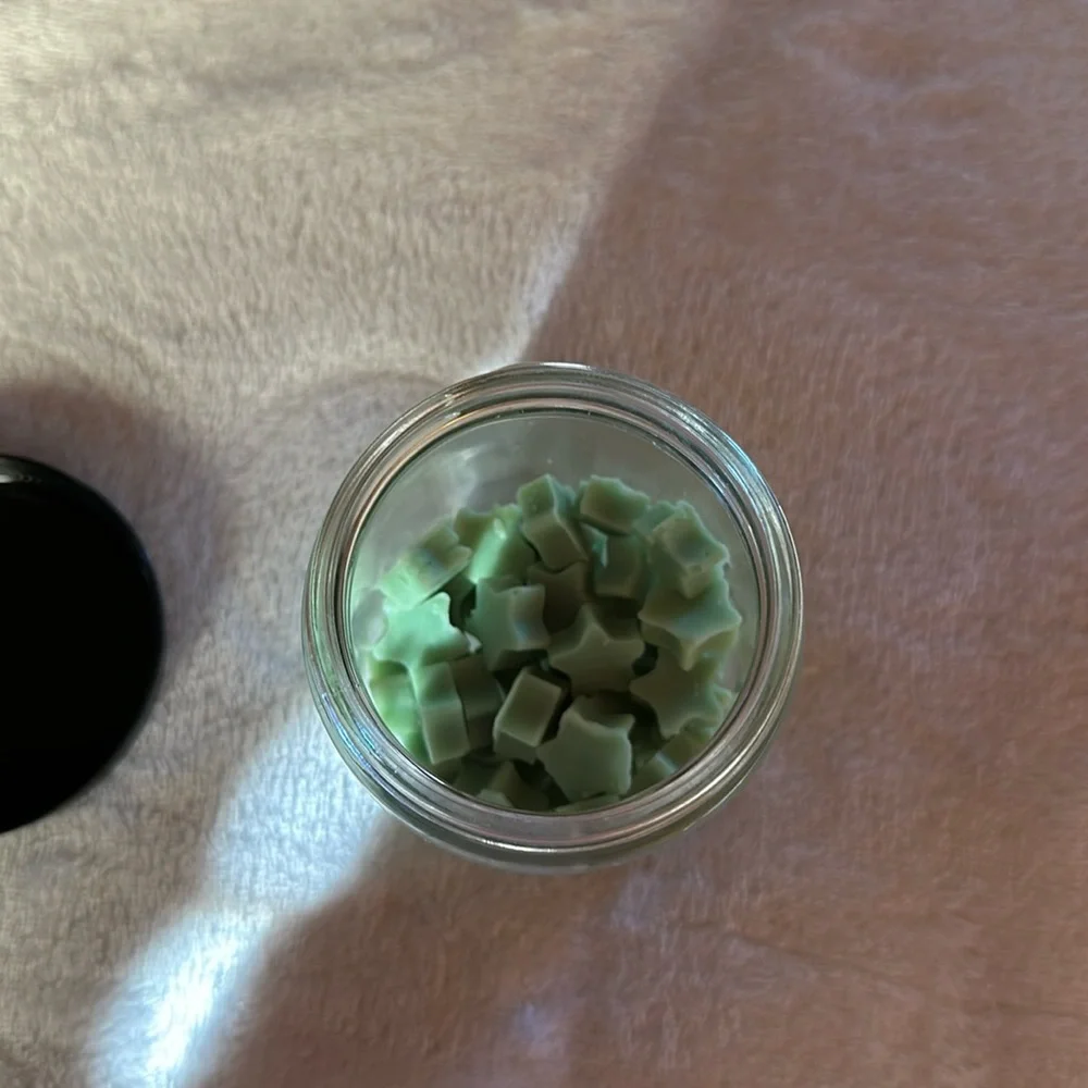 Bath & Body Works Mermaid Lagoon Hand Poured Wax Melts